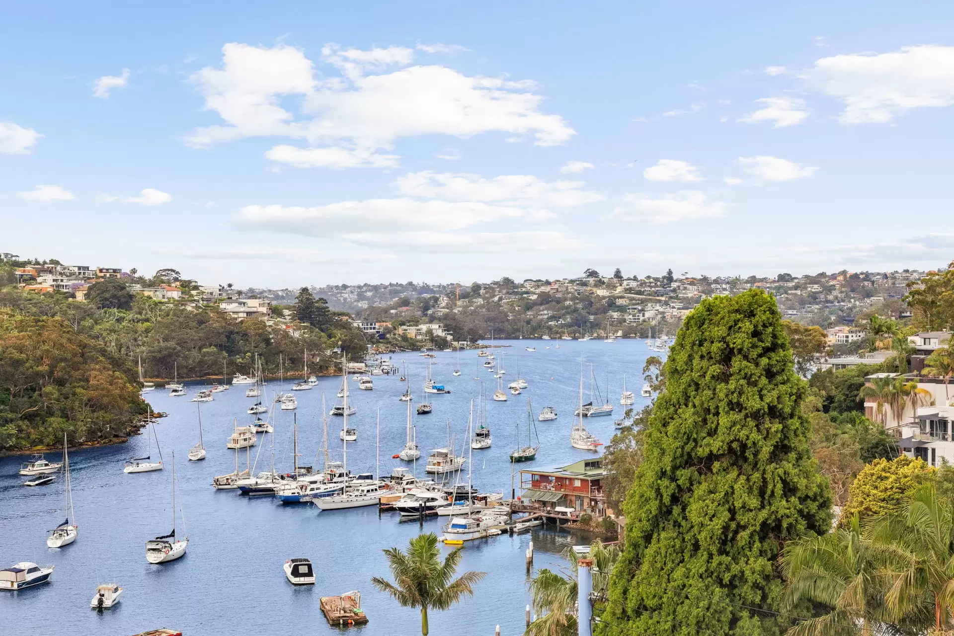 21 Cowdroy Avenue, Cammeray Sold by Aurora Property - image 14