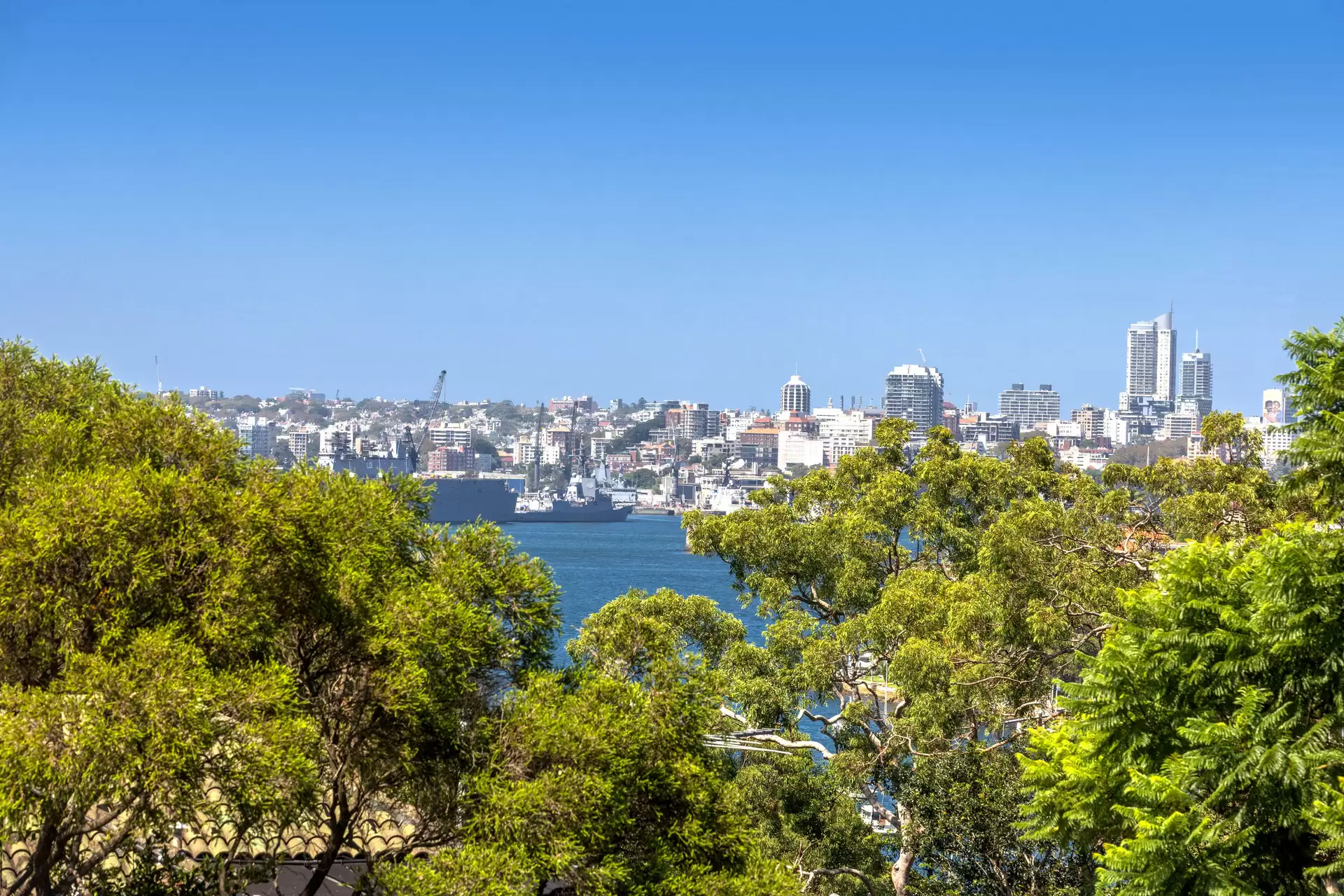 3 Prior Avenue, Cremorne Point For Sale by Aurora Property - image 9