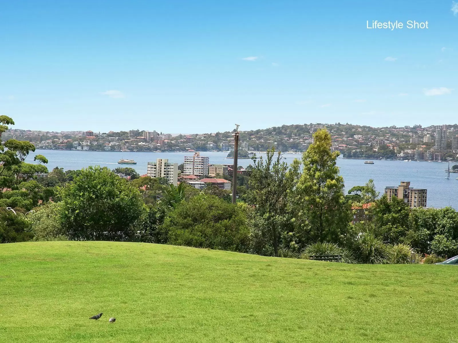1/88 Berry Street, North Sydney Sold by Aurora Property - image 10