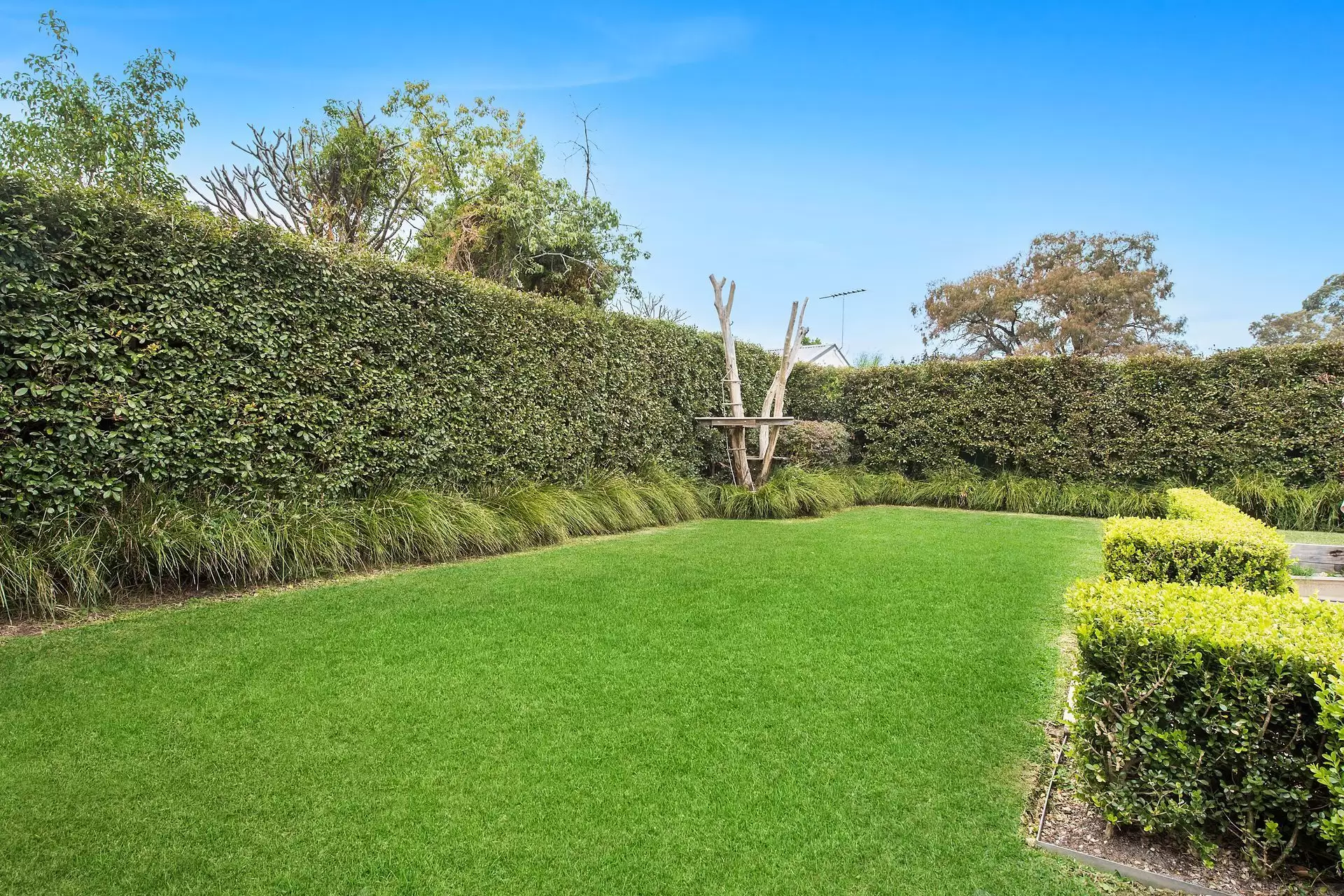 150 Darvall Road, West Ryde Sold by Aurora Property - image 6