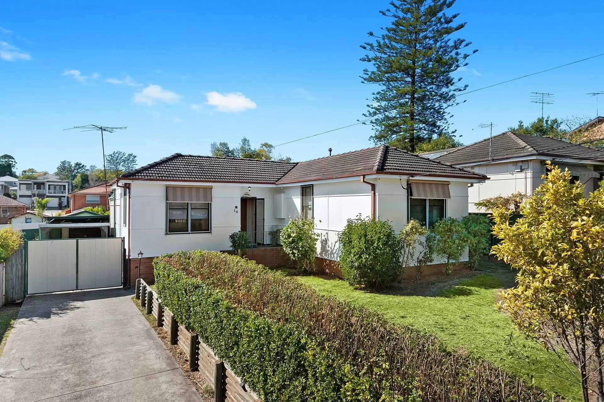 16 Brothers Street, Dundas Valley Sold by Aurora Property - image 9