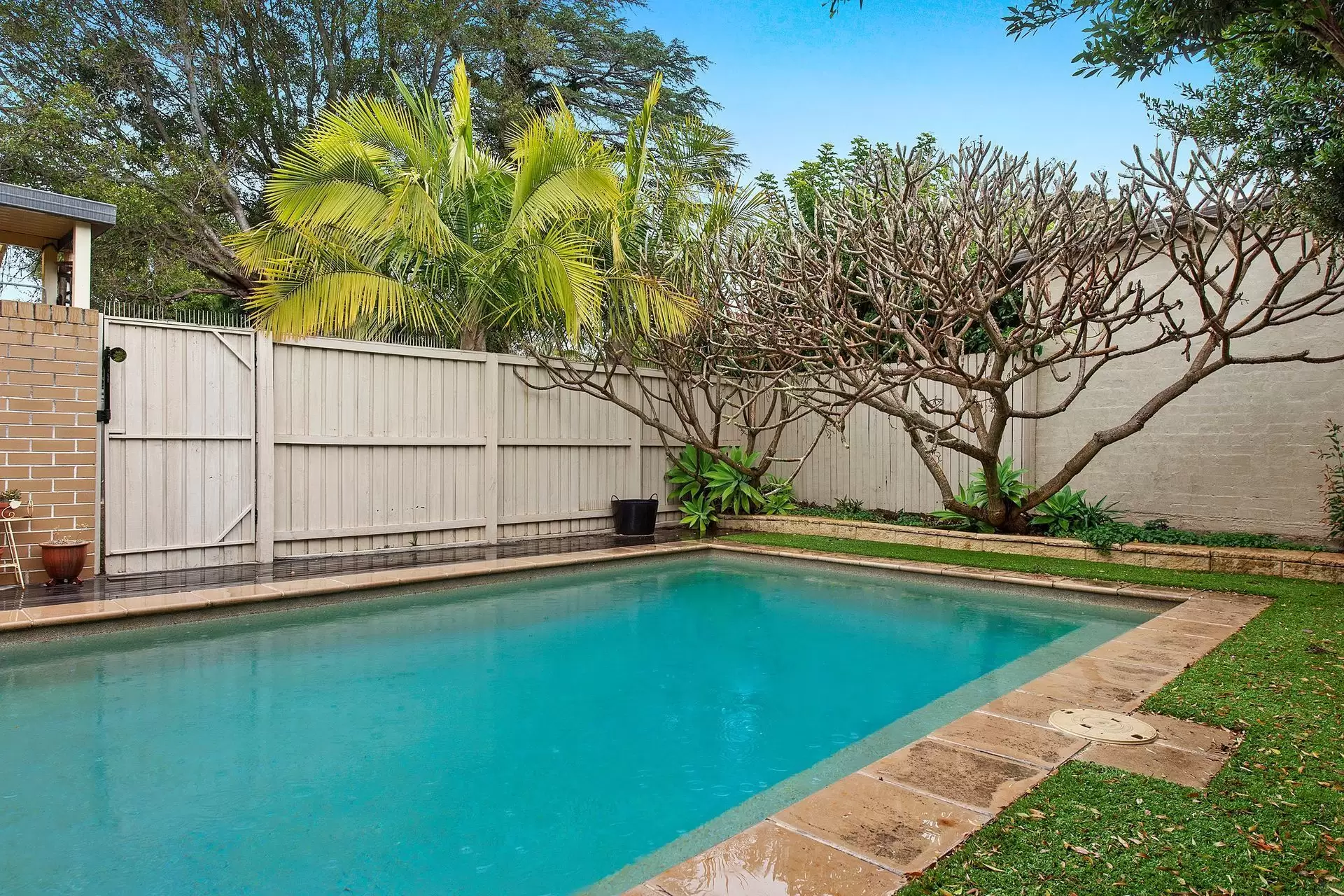 11A Culgoa Avenue, Eastwood Sold by Aurora Property - image 11