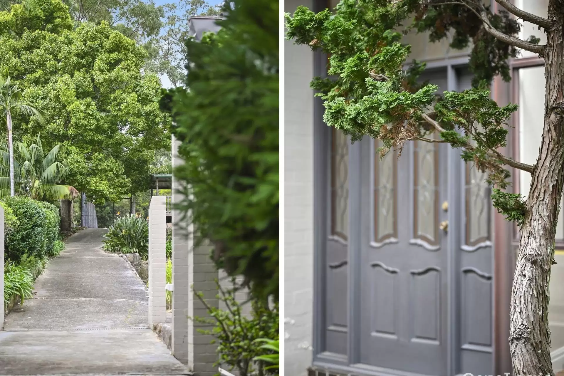 5 Norfolk Street, Killara Sold by Aurora Property - image 3