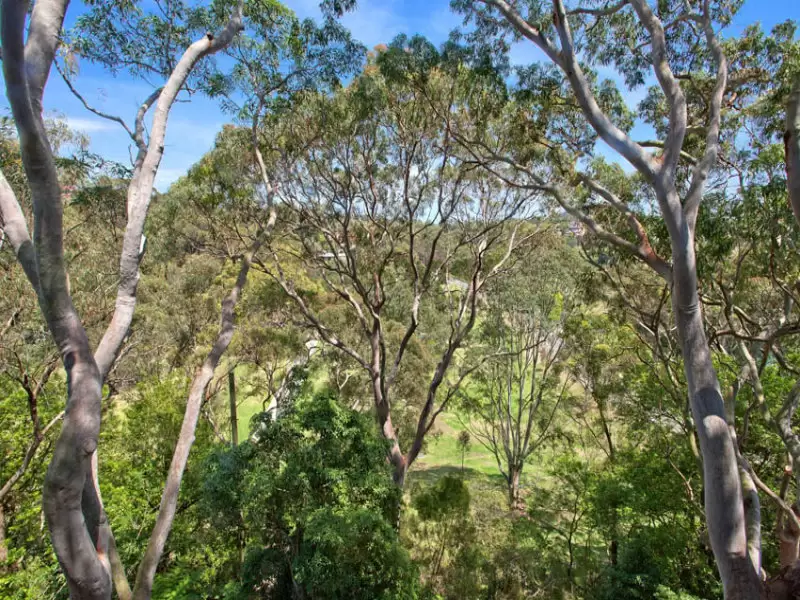 9 Little Wonga Road, Cremorne Sold by Aurora Property - image 20