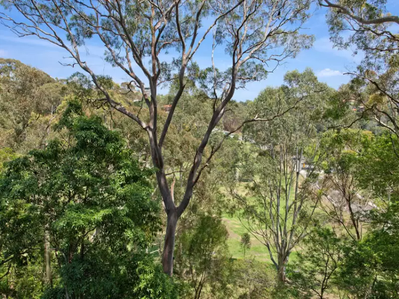 9 Little Wonga Road, Cremorne Sold by Aurora Property - image 16