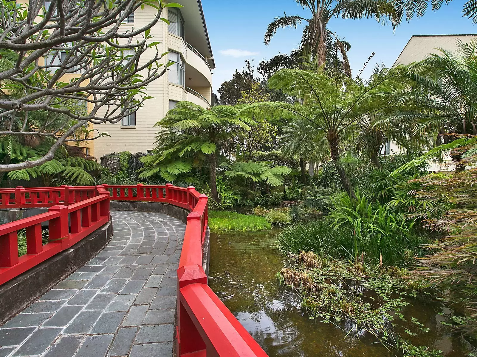 33/1 Amherst Street, Cammeray Sold by Aurora Property - image 7