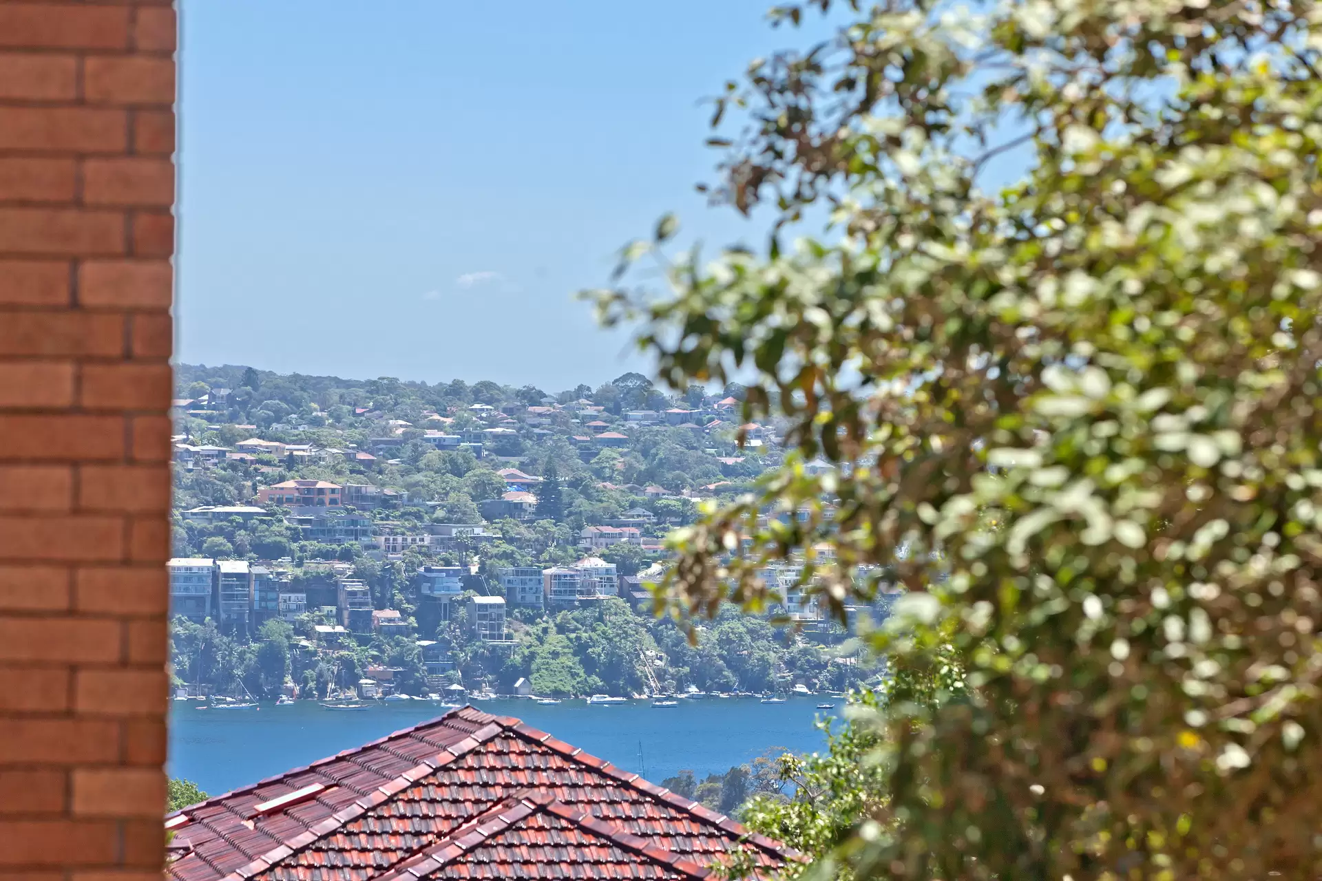 8/3-7 Bariston Avenue, Cremorne Sold by Aurora Property - image 7