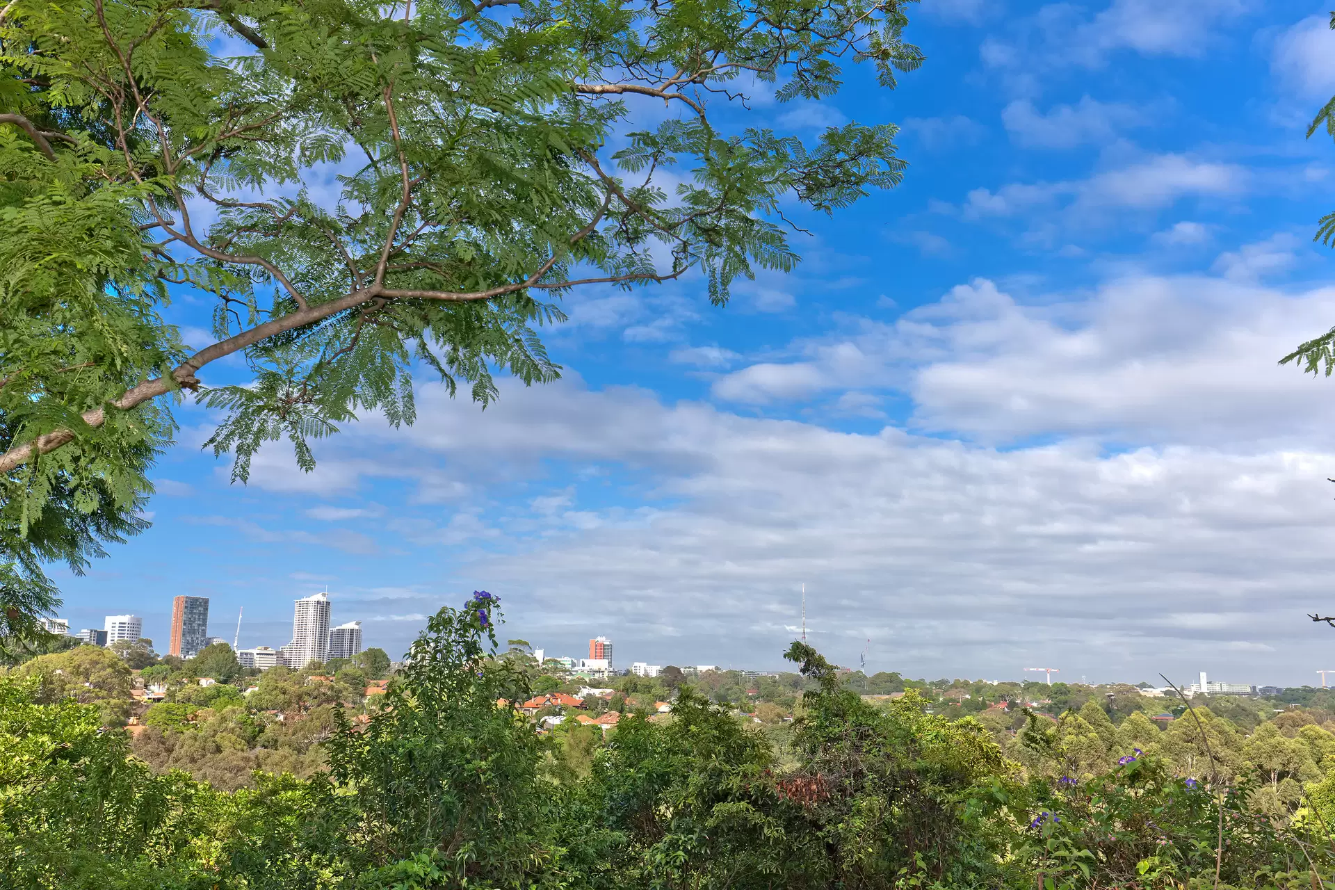 10 Nulgarra Street, Northbridge Sold by Aurora Property - image 16