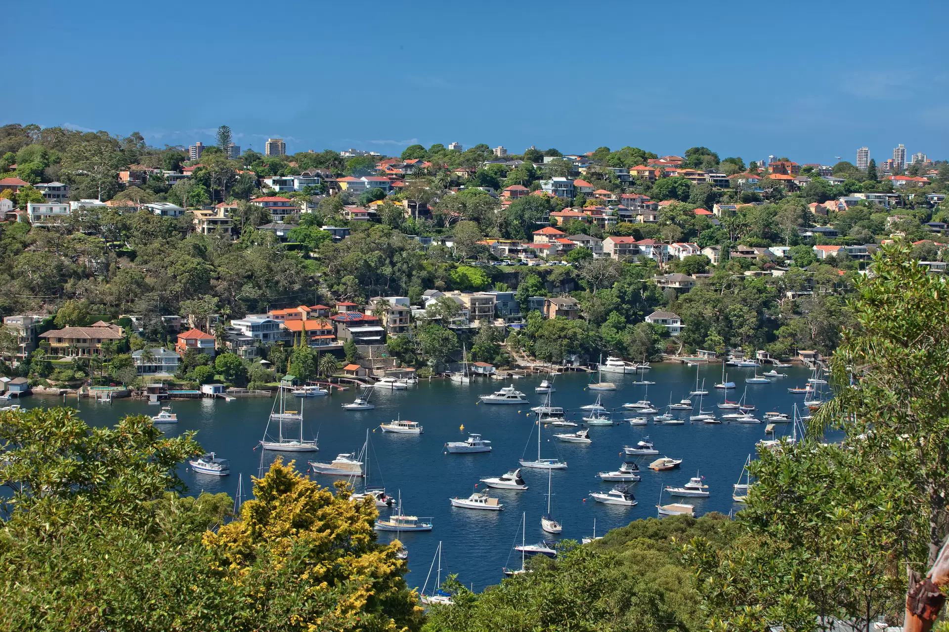 220 Edinburgh Road, Castlecrag Sold by Aurora Property - image 14