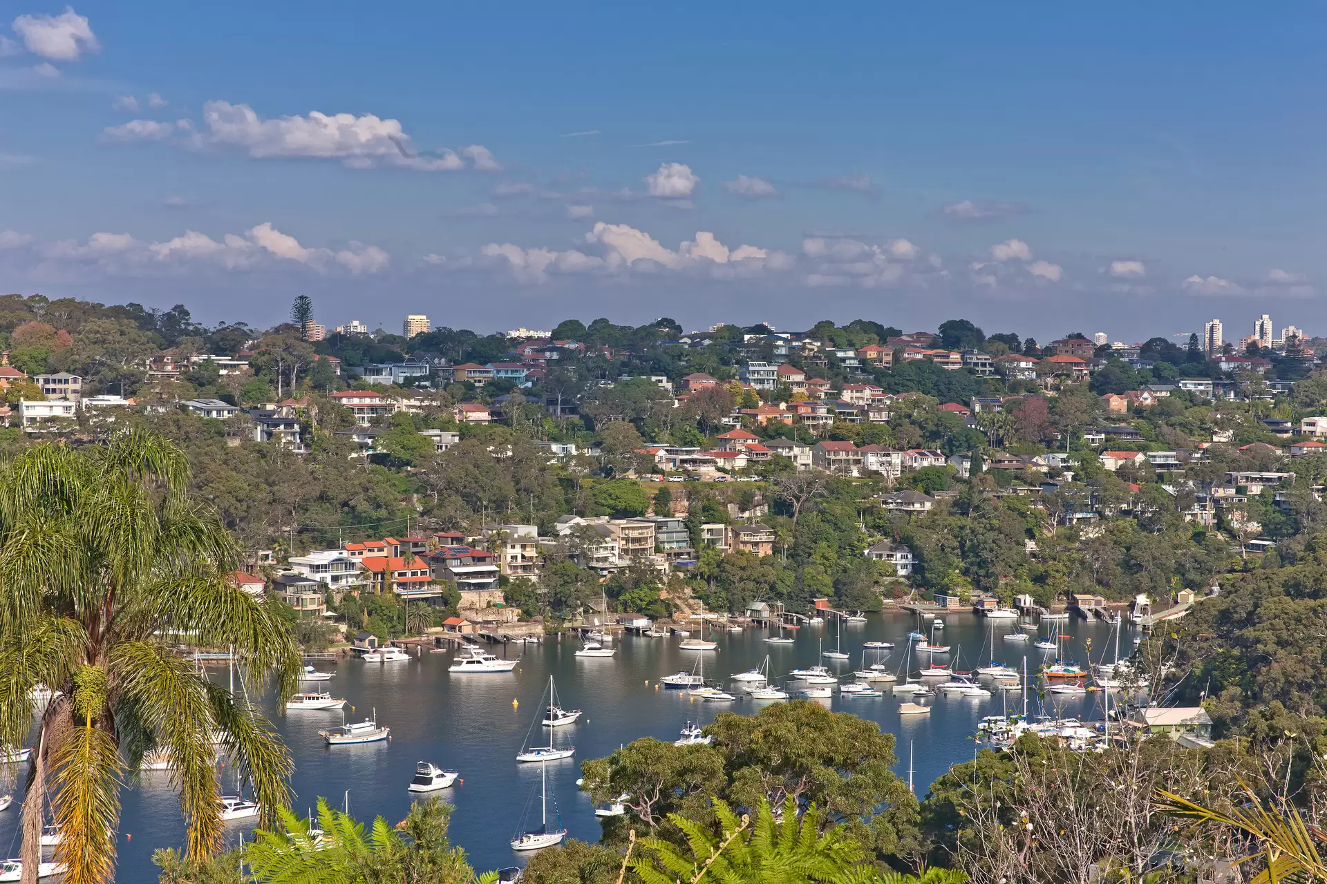 218 Edinburgh Road, Castlecrag Sold by Aurora Property - image 15