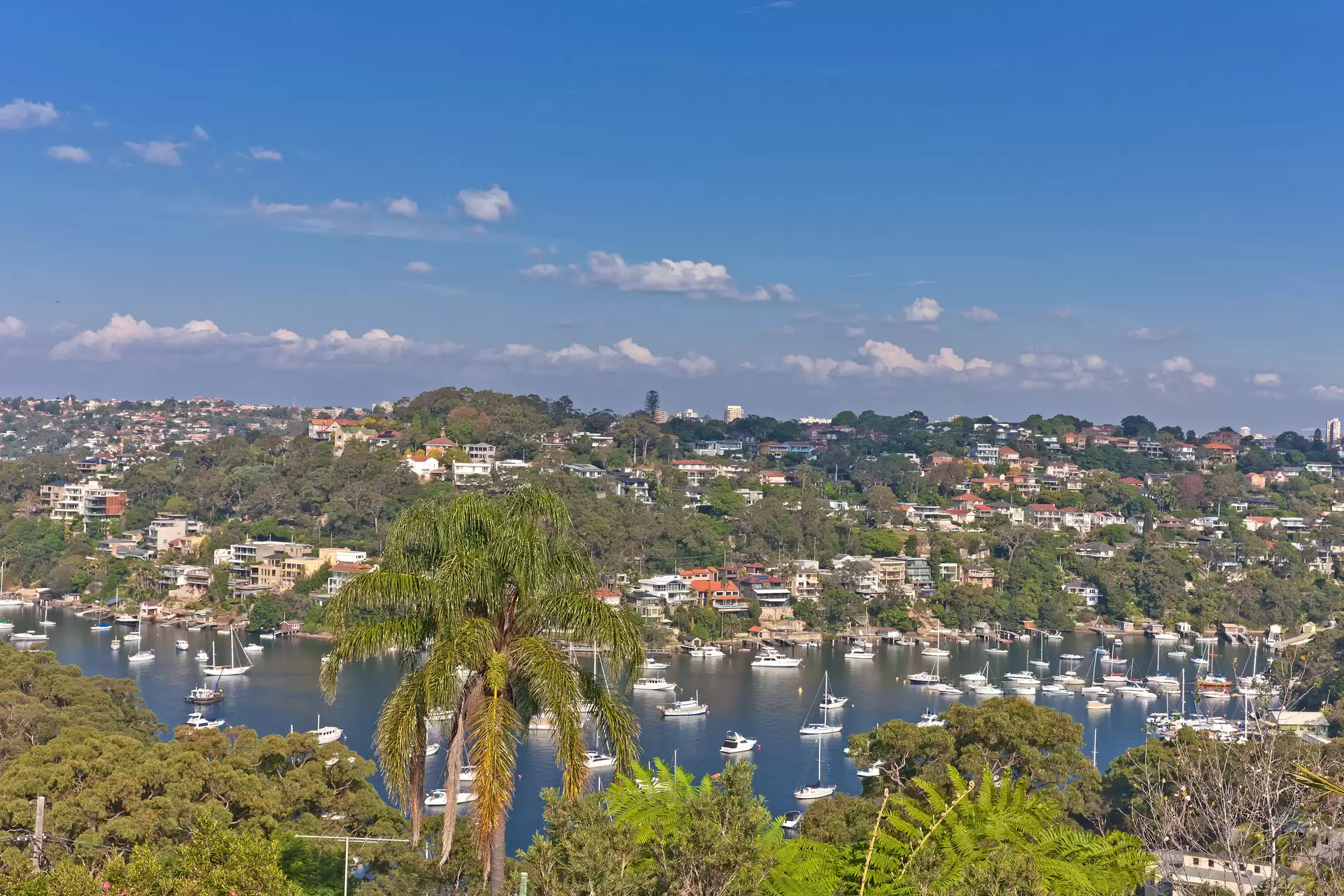 218 Edinburgh Road, Castlecrag Sold by Aurora Property - image 10