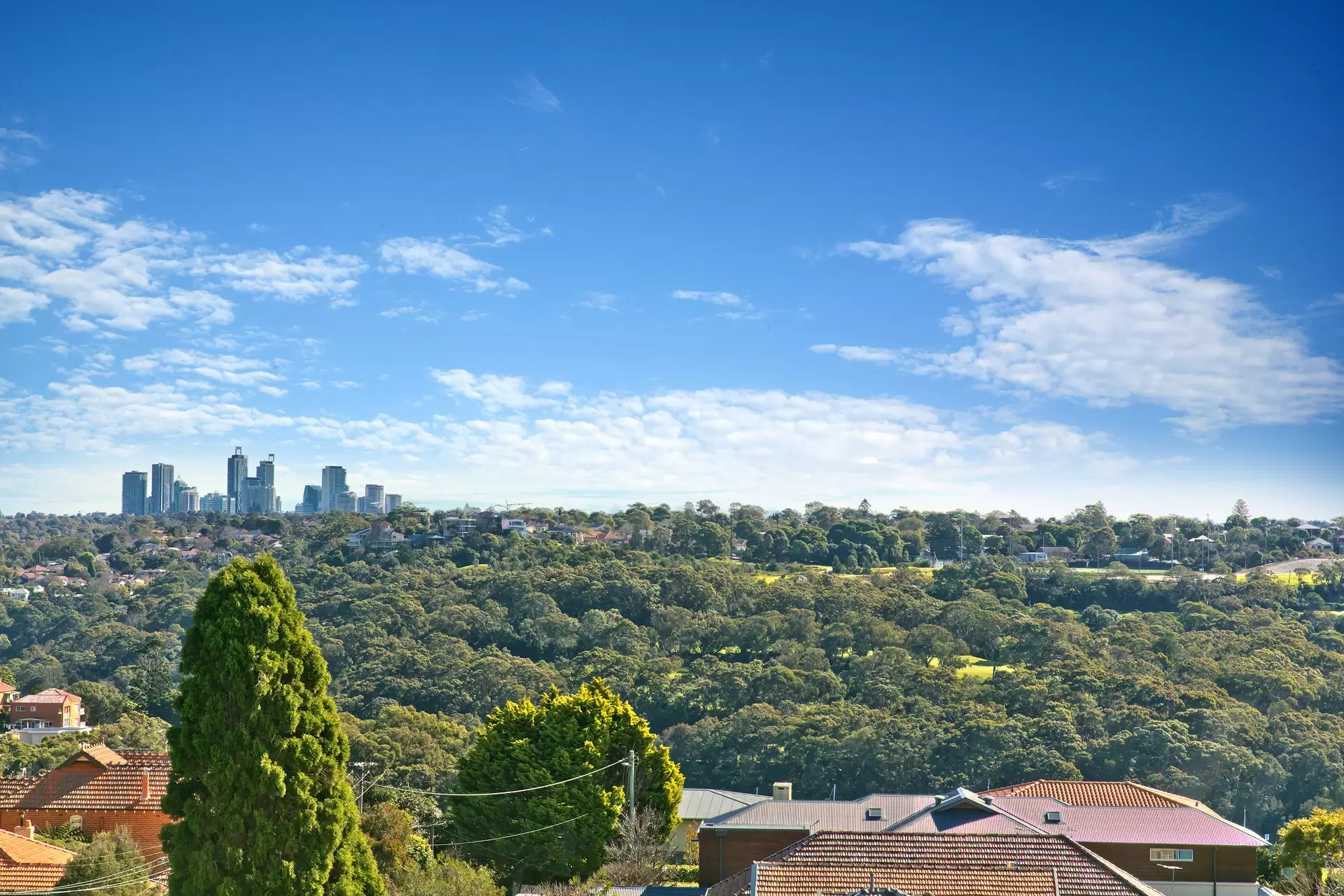 14/9 Ellalong Road, Cremorne Sold by Aurora Property - image 10