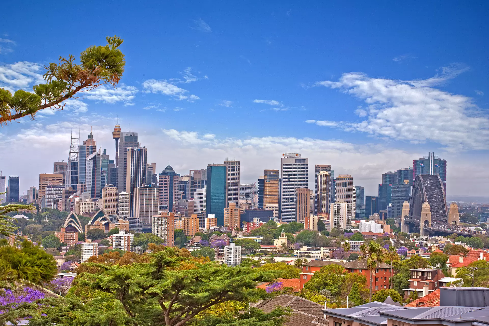 14/21-25 Rangers Road, Cremorne Sold by Aurora Property - image 13