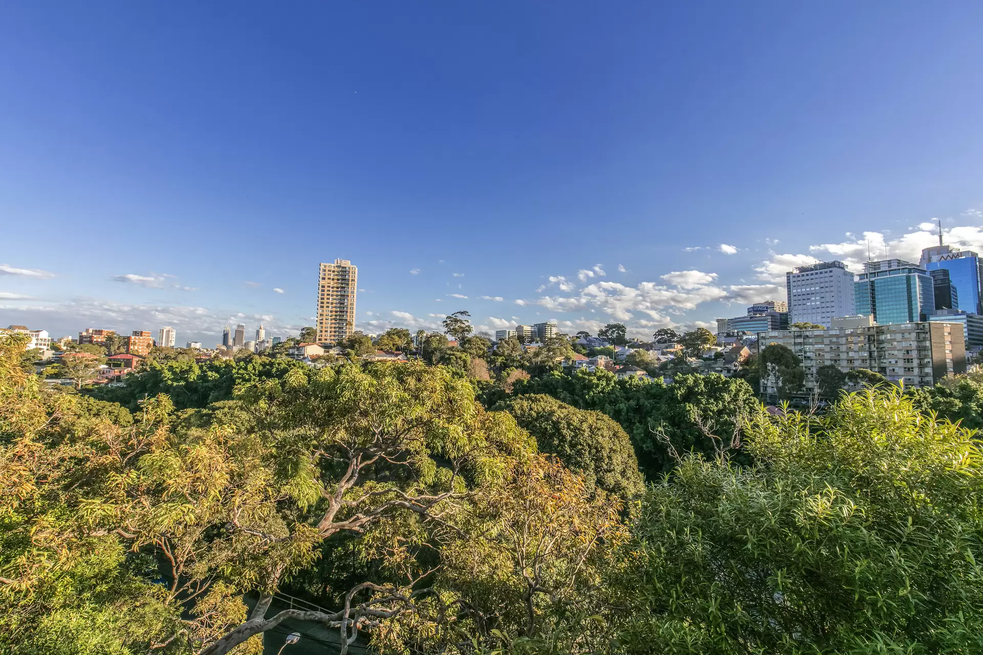 19/2 Spruson Street, Neutral Bay Sold by Aurora Property - image 15