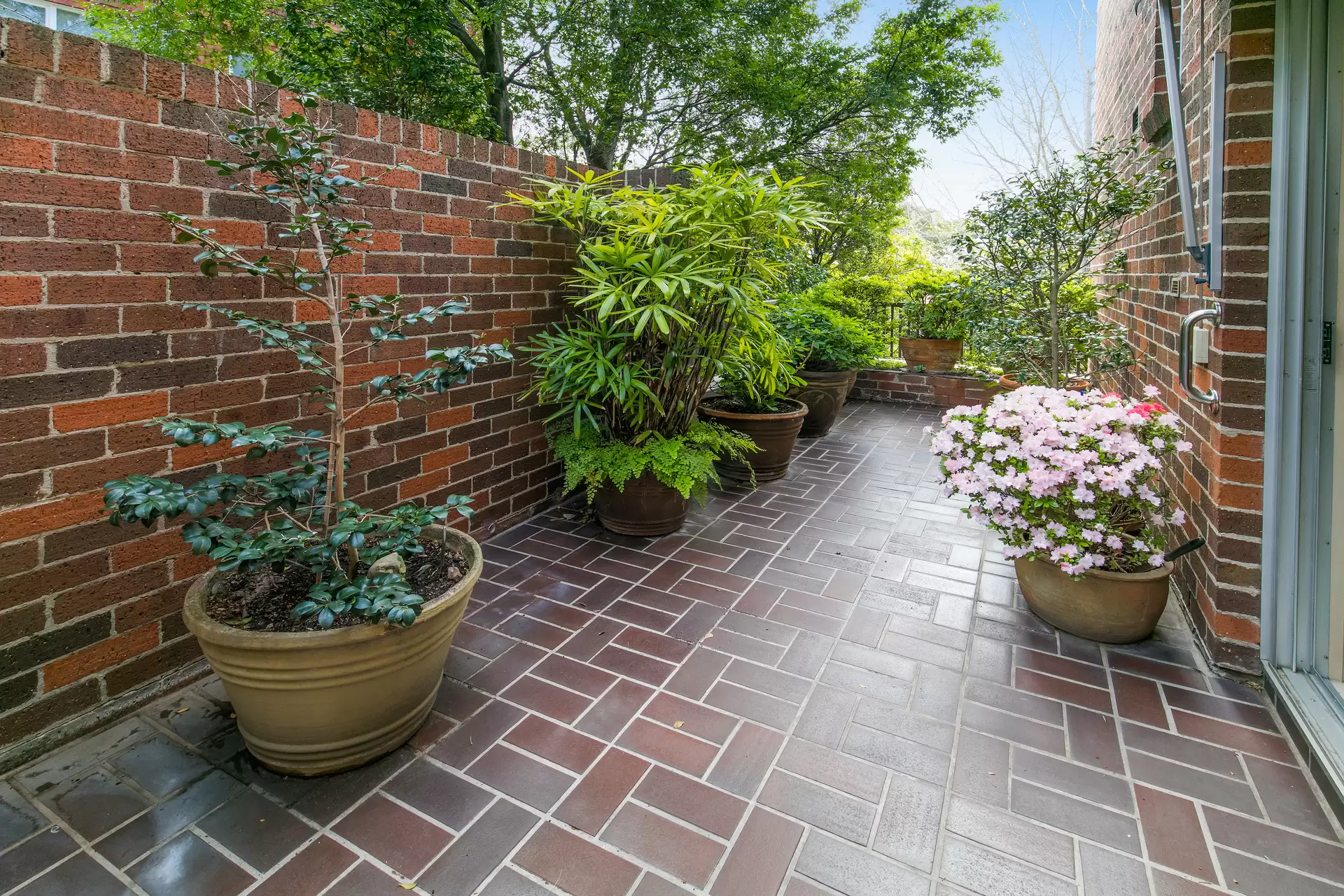 2/77 Grasmere Road, Cremorne Sold by Aurora Property - image 12