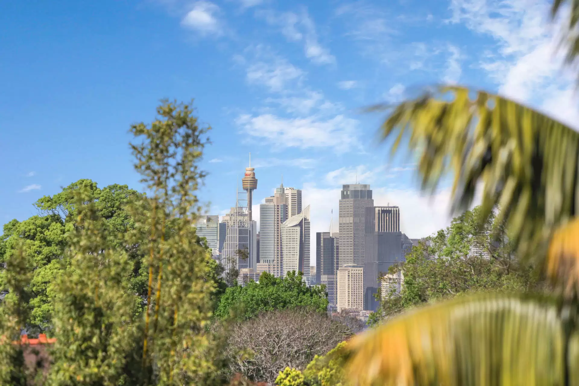 16/11 Myahgah Road, Mosman Sold by Aurora Property - image 6