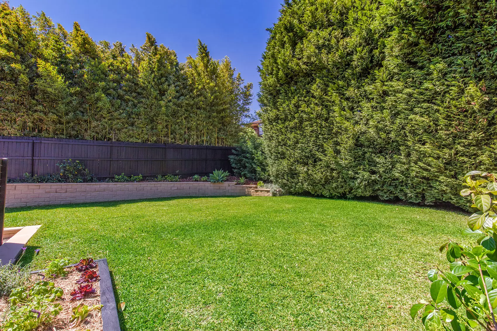 49 Ellalong Road, Cremorne Sold by Aurora Property - image 12