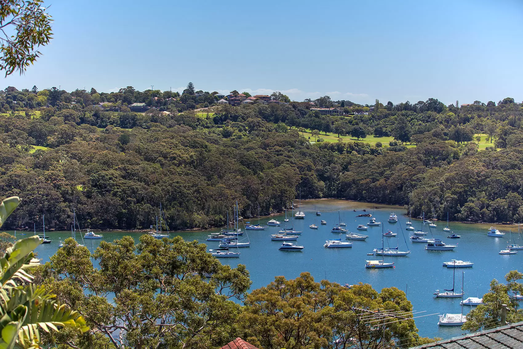 3 Samora Avenue, Cremorne Sold by Aurora Property - image 8