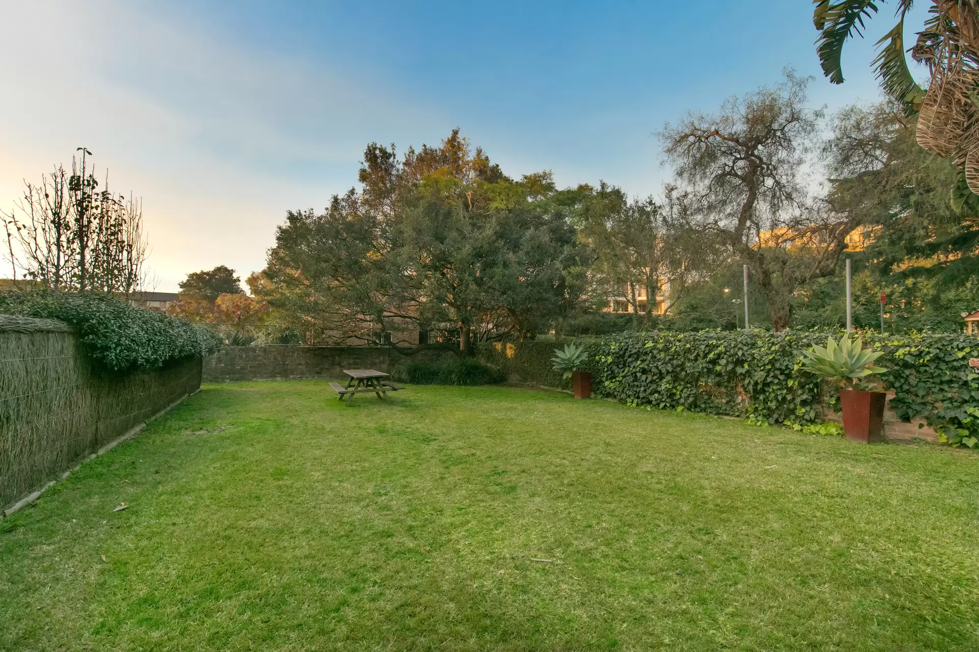 11/89A Cowles Road, Mosman Sold by Aurora Property - image 11