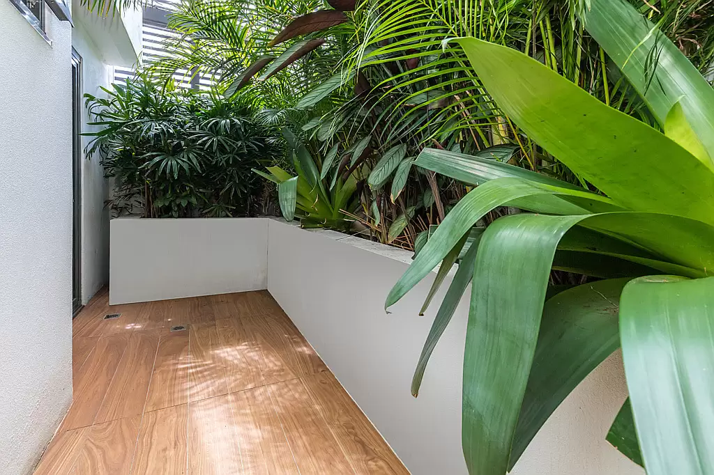 104/467 Miller Street, Cammeray Sold by Aurora Property - image 5