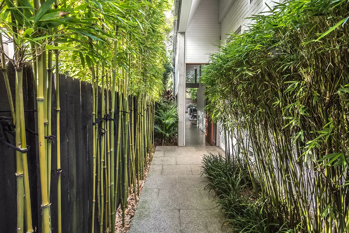 17A Countess Street, Mosman Sold by Aurora Property - image 17