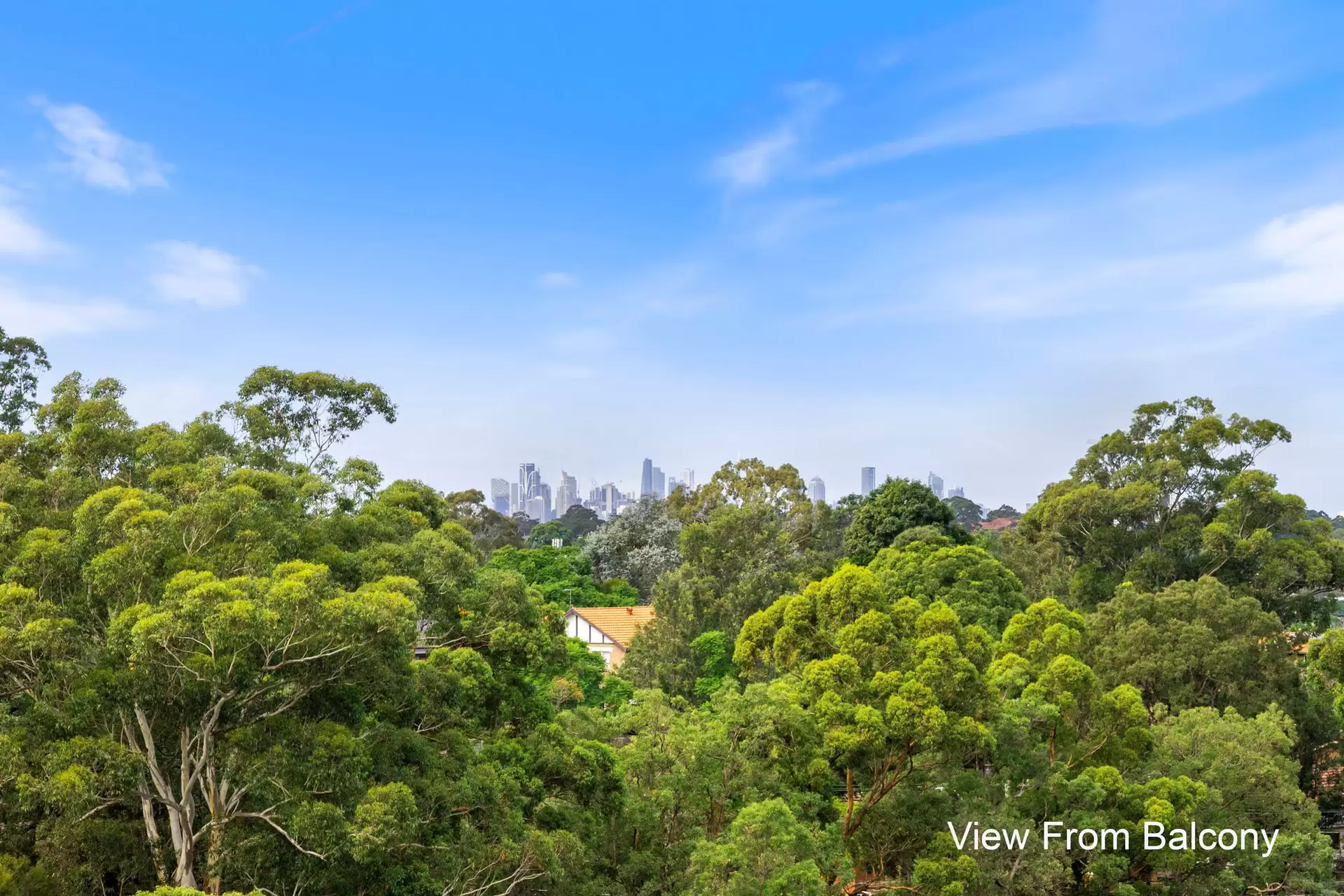 207/86 Mobbs Lane, Eastwood For Sale by Aurora Property - image 7