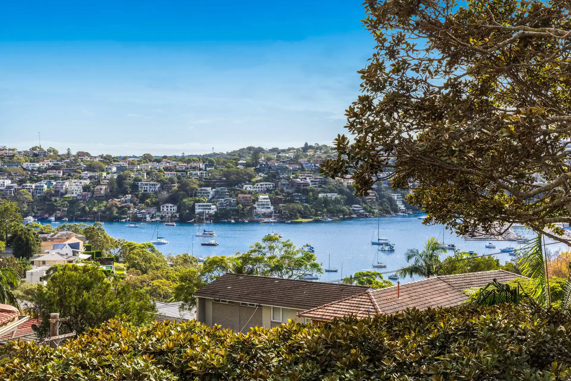 4/2 Ida Avenue, Mosman For Sale by Aurora Property - image 4